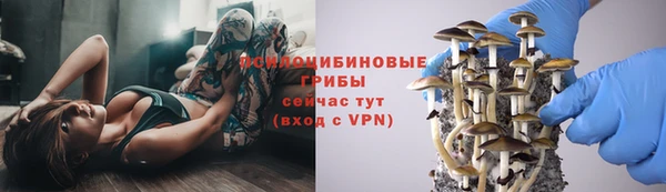 дурь Магадан