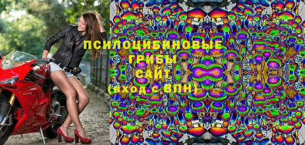 apvp Лиски