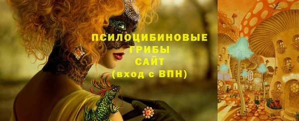 молекула духа Липки