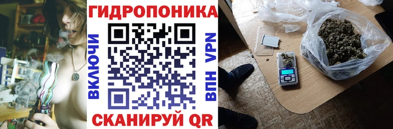 Бошки Шишки ГИДРОПОН  где можно купить наркотик  Оленегорск 